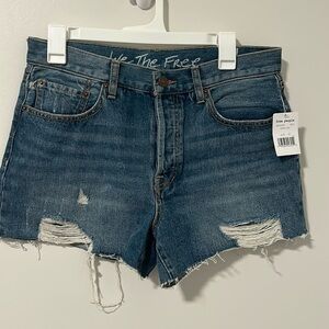 NWT Free People Denim Jean Shorts Size 30